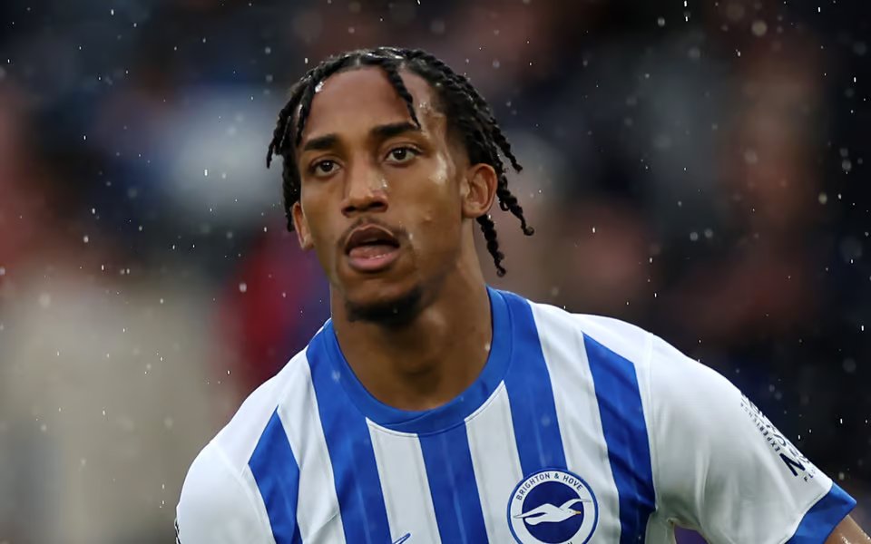 ペドロ サッカー ユニフォーム 24-25 ブライトン ホーム Joao Pedro